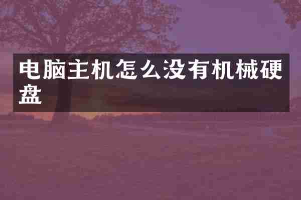 电脑主机怎么没有机械硬盘