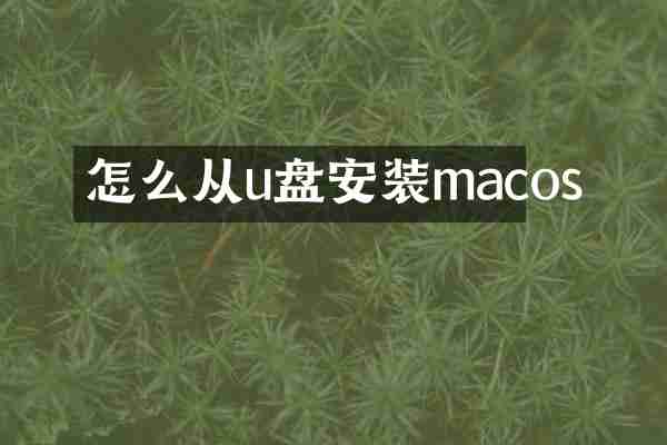 怎么从u盘安装macos