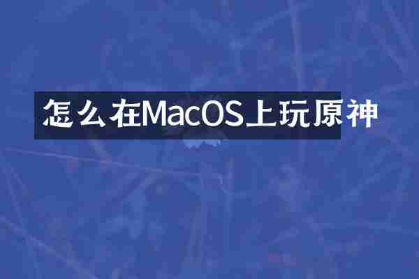 怎么在MacOS上玩原神