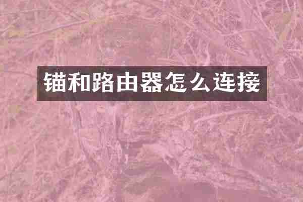 锚和路由器怎么连接
