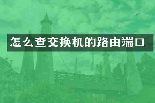 怎么查交换机的路由端口