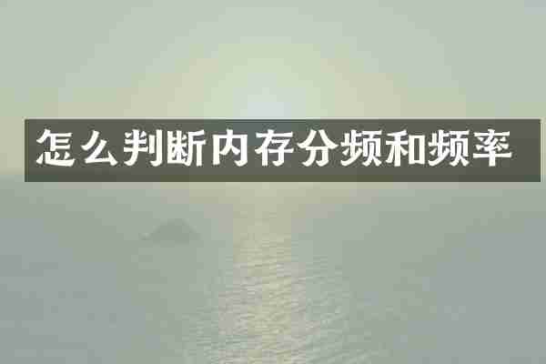 怎么判断内存分频和频率