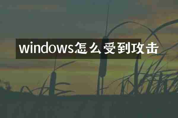 windows怎么受到攻击