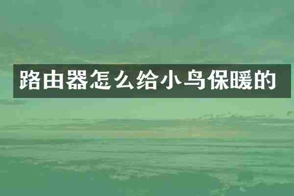 路由器怎么给小鸟保暖的