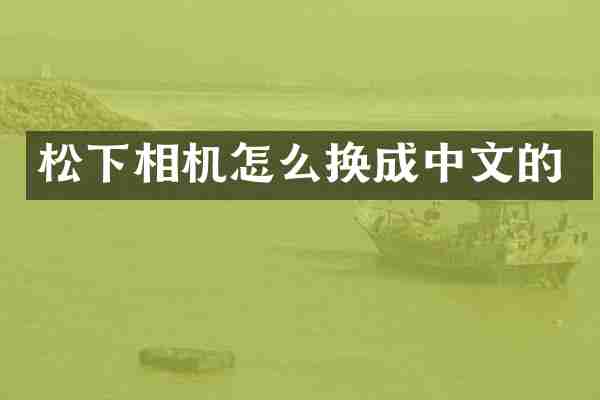 松下相机怎么换成中文的