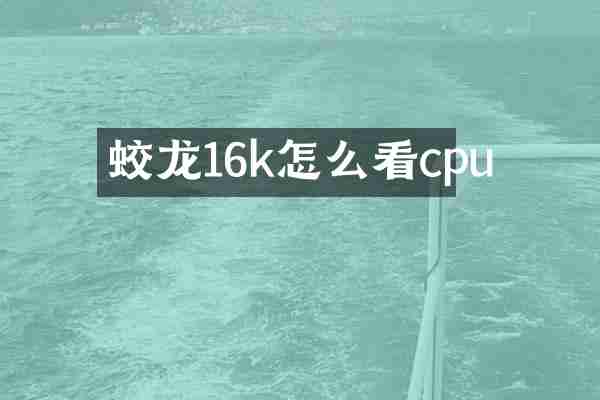 蛟龙16k怎么看cpu