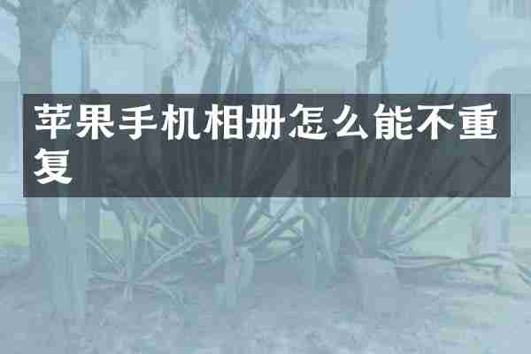 苹果手机相册怎么能不重复