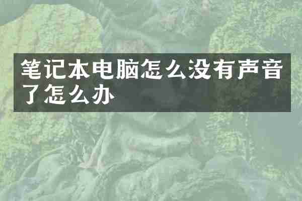 笔记本电脑怎么没有声音了怎么办