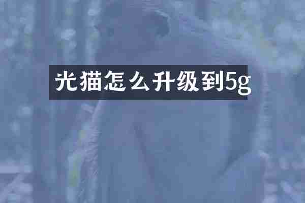 光猫怎么升级到5g