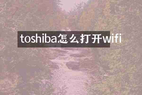 toshiba怎么打开wifi
