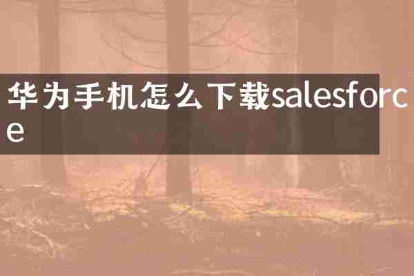 华为手机怎么下载salesforce