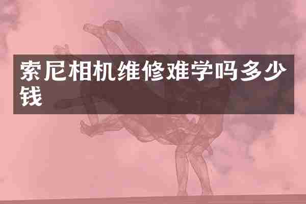 索尼相机维修难学吗多少钱