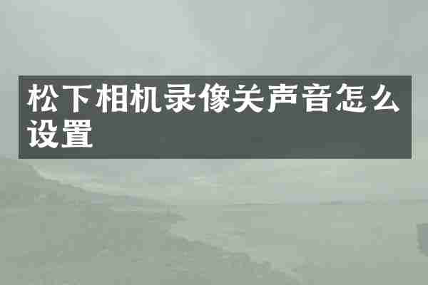 松下相机录像关声音怎么设置