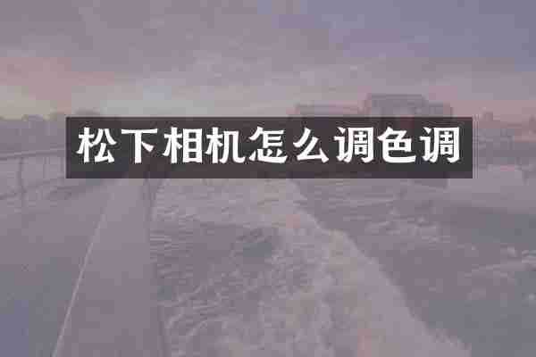 松下相机怎么调色调
