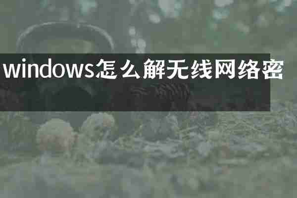 windows怎么解无线网络密码