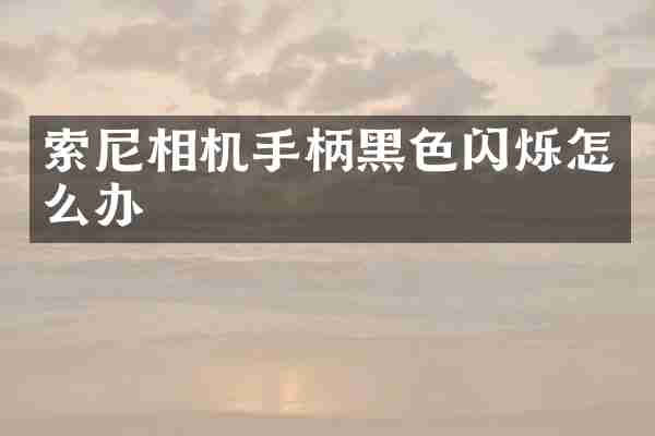 索尼相机手柄黑色闪烁怎么办