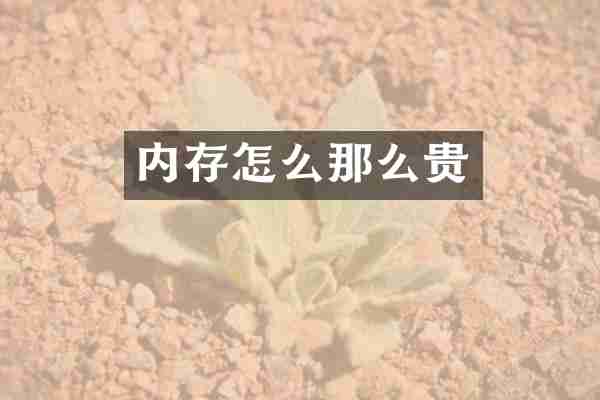 内存怎么那么贵