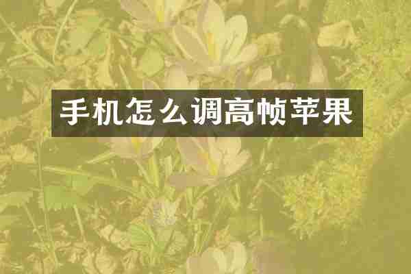 手机怎么调高帧苹果