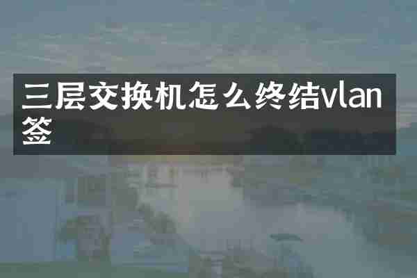 三层交换机怎么终结vlan标签