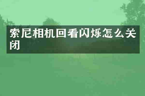 索尼相机回看闪烁怎么关闭