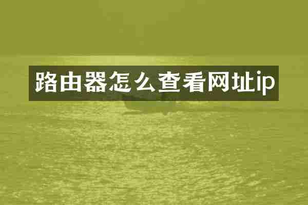 路由器怎么查看网址ip