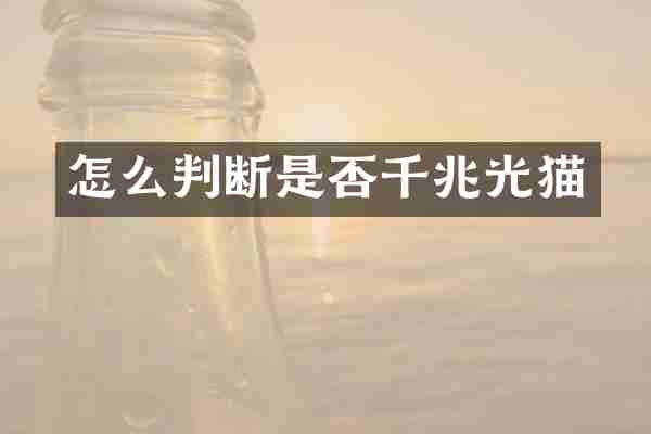 怎么判断是否千兆光猫