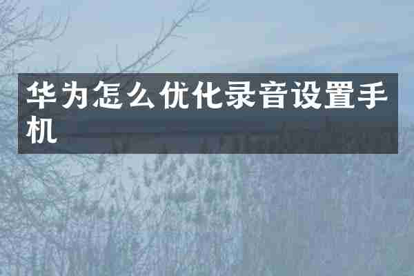 华为怎么优化录音设置手机