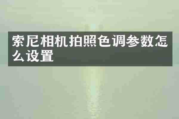 索尼相机拍照色调参数怎么设置