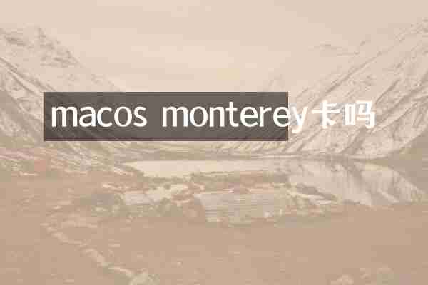 macos monterey卡吗