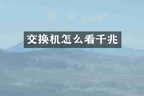 交换机怎么看千兆