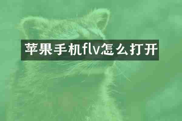 苹果手机flv怎么打开