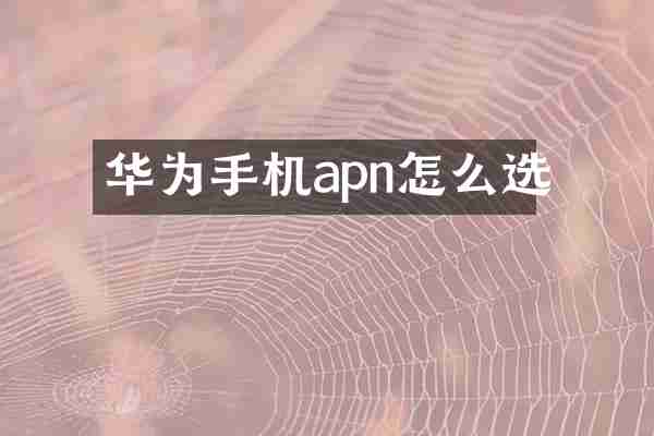 华为手机apn怎么选