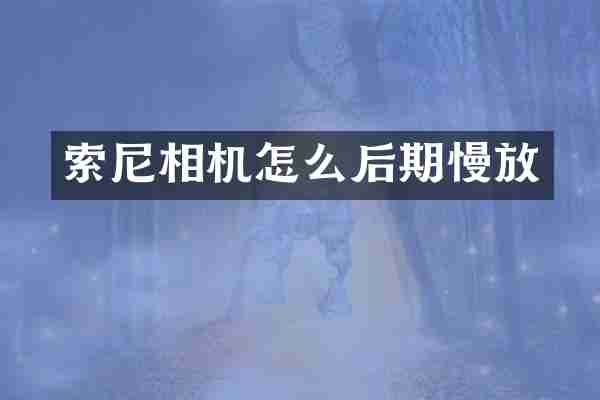 索尼相机怎么后期慢放