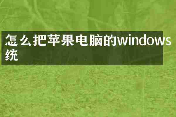 怎么把苹果电脑的windows系统