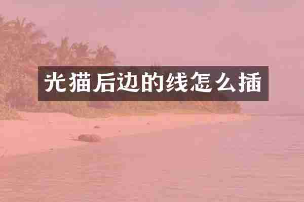 光猫后边的线怎么插