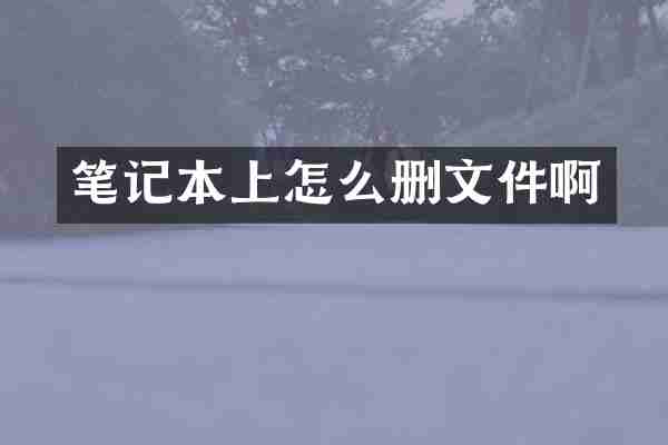 笔记本上怎么删文件啊