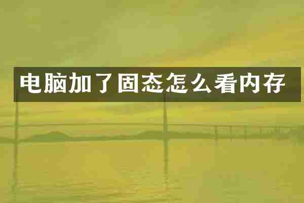 电脑加了固态怎么看内存