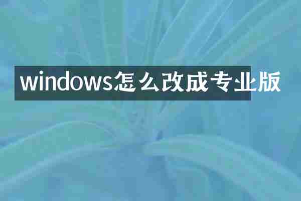 windows怎么改成专业版