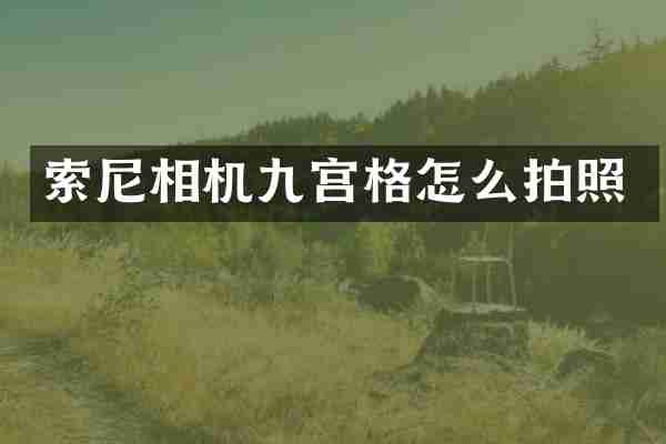 索尼相机九宫格怎么拍照