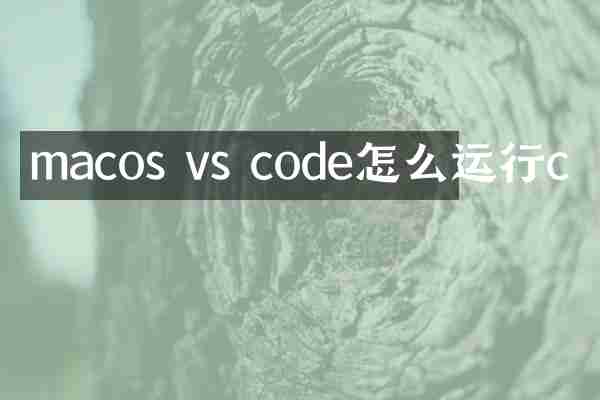 macos vs code怎么运行c