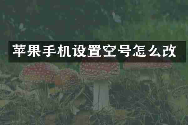 苹果手机设置空号怎么改