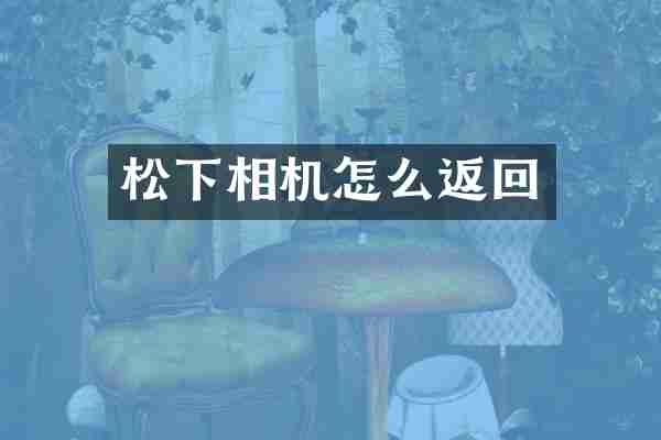 松下相机怎么返回