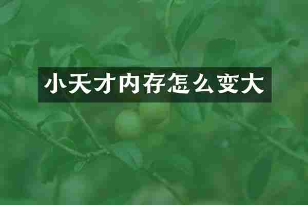 小天才内存怎么变大