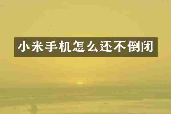 小米手机怎么还不倒闭