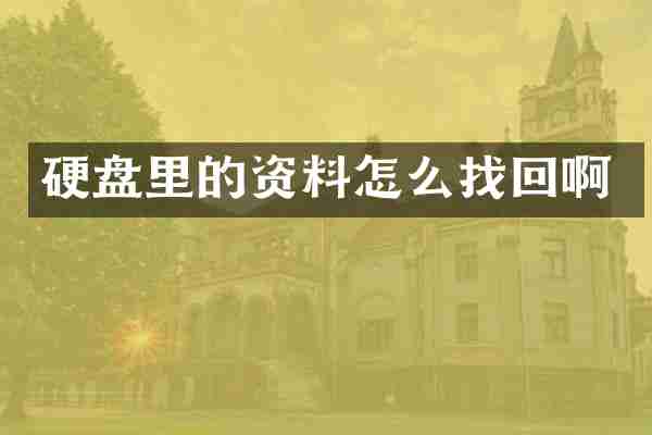 硬盘里的资料怎么找回啊