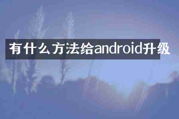 有什么方法给android升级