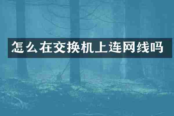 怎么在交换机上连网线吗