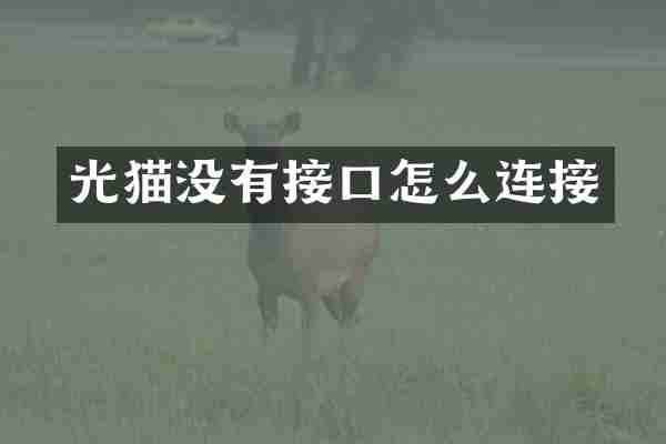 光猫没有接口怎么连接