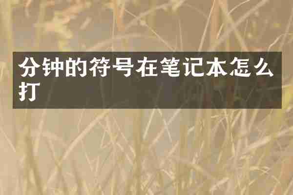 分钟的符号在笔记本怎么打