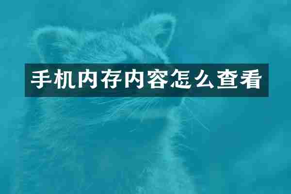 手机内存内容怎么查看